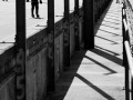 MG_8454