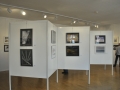 Befo 2013-79.jpg