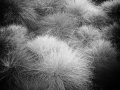 20120808-IMG_1417-Bearbeitet.jpg