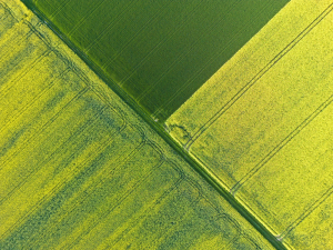Alkofer-Gerhard-Landwirtschaft