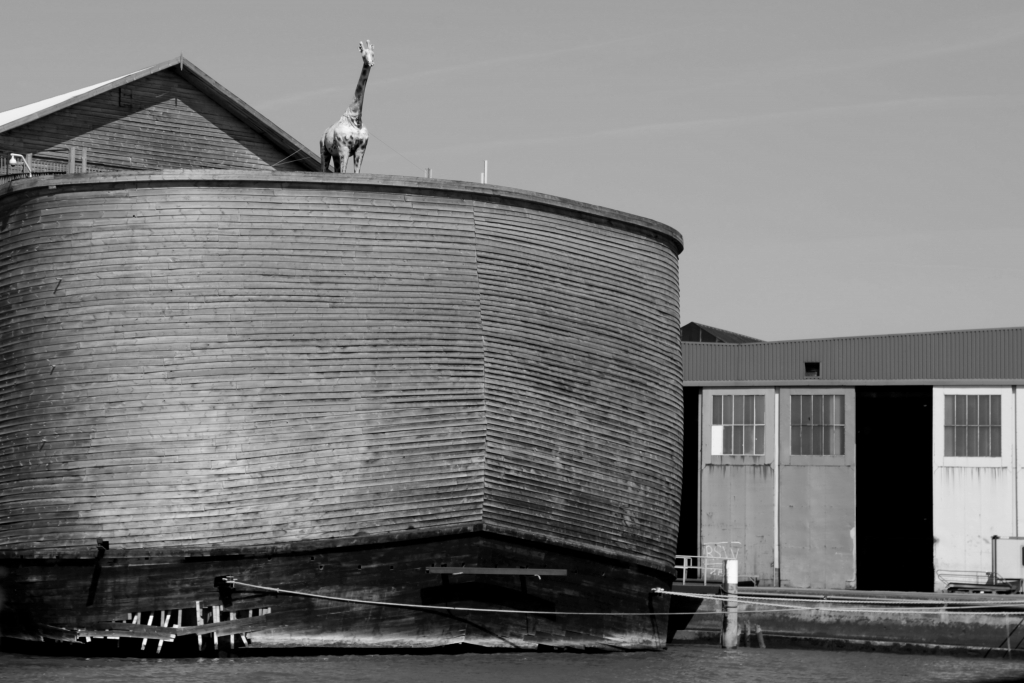 Arche Noah
