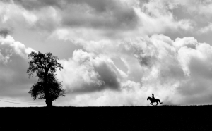 Black Rider