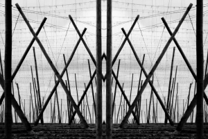 __Diagonalen__s