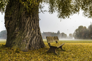 _Herbstbank_s