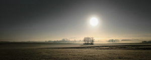 Morgenstimmung im Nebel