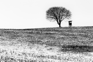 Schaeffer-Thomas-Fotofreunde-VHS-Pfaffenhofen-a.d.Ilm-Winter-Annahme