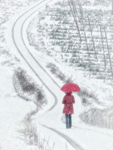 _Winterspaziergang_s