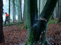 Landwirt i. Winter.HolzfÃ¤llen