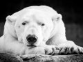 5C5A4814-Bearbeitet-2
