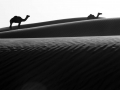 RK4_0960_sw.jpg