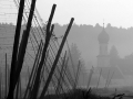 RK5_5650.jpg