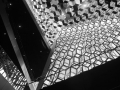 RK6_9837_sw.jpg