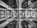 Bild_14