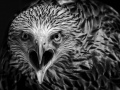 Bild_17