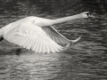 Bild_18