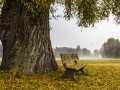 Herbstbank
