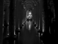 IMG_2115