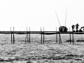 IMG_9314