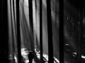 Lichtschein