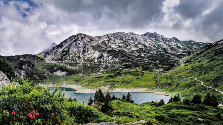 Formarinsee