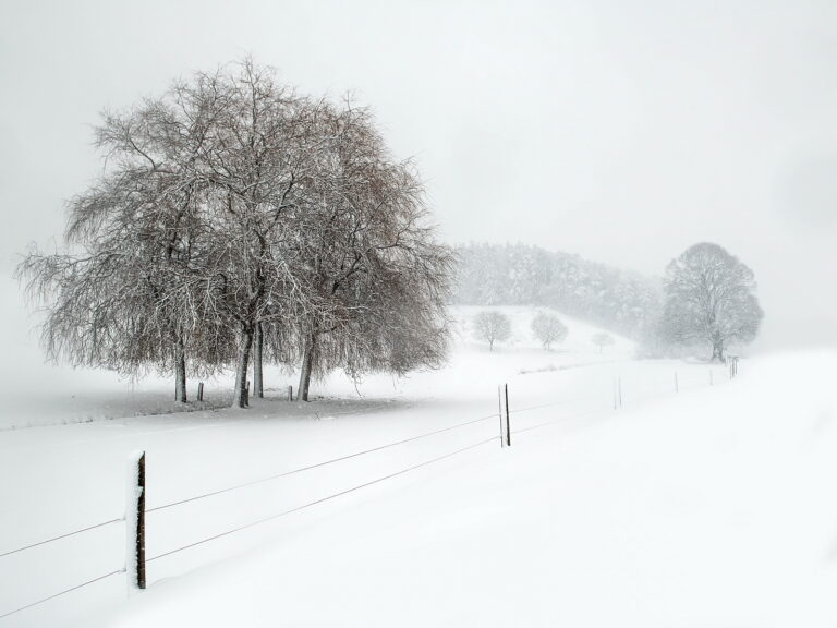 Winter