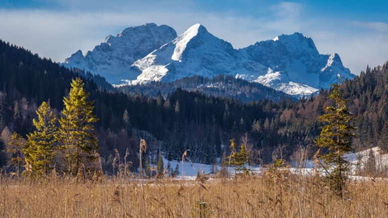 Am Barmsee
