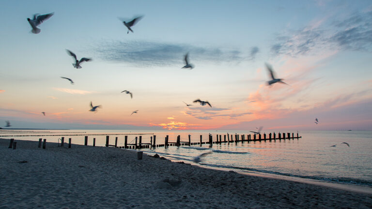 Am Strand