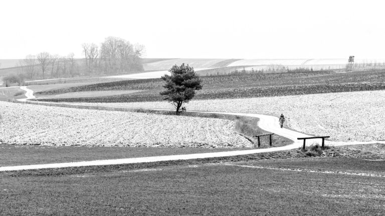 Winterspaziergang