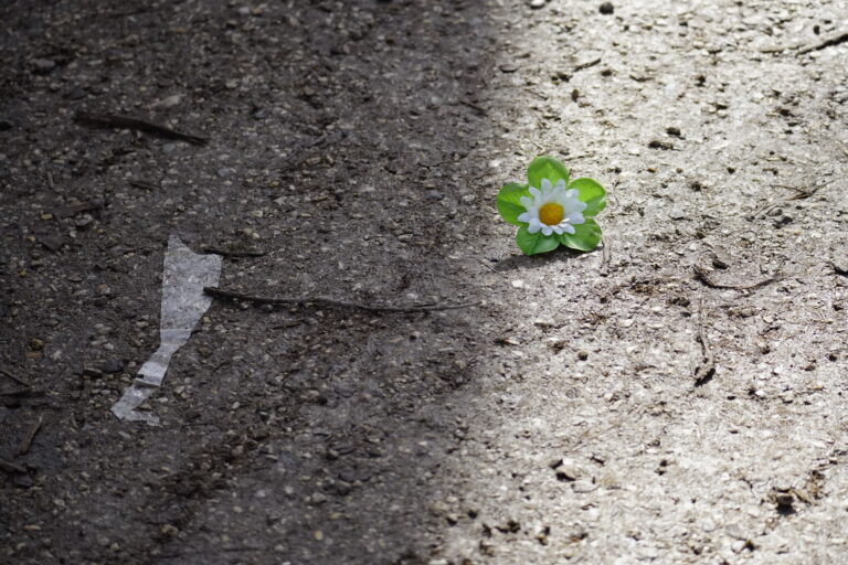 Plastic World